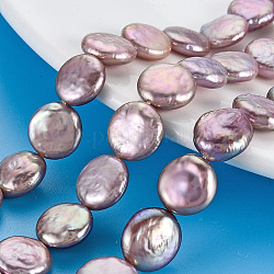 Natural Keshi Pearl Beads Strands, Cultured Freshwater Pearl, Flat Round, Lavender, 11~12x3~7mm, Hole: 0.6mm, about 31~32pcs/strand, 14.96 inch(38cm)