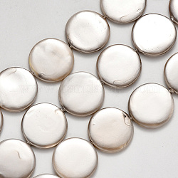 Chapelets de perles de coquille, peint à la bombe, plat rond, gris clair, 20x3mm, Trou: 0.8mm, Environ 18 pcs/chapelet, 14.96 pouce (38 cm)