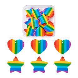 Yilisi 12pcs 2 colgantes de rayas de plástico de estilo, encantos del arco iris, formas mixtas, colorido, 6 piezas / style