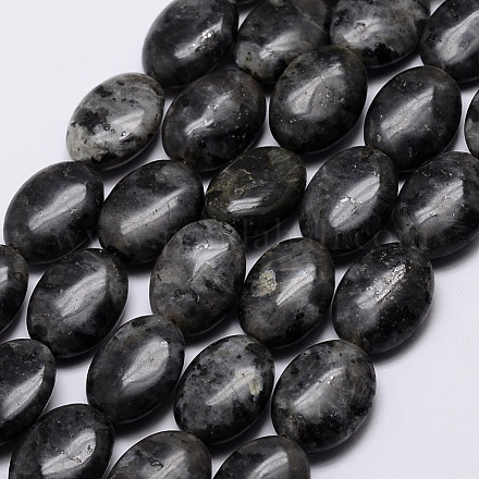 Natural Labradorite Beads Strands G-E337-11O-1