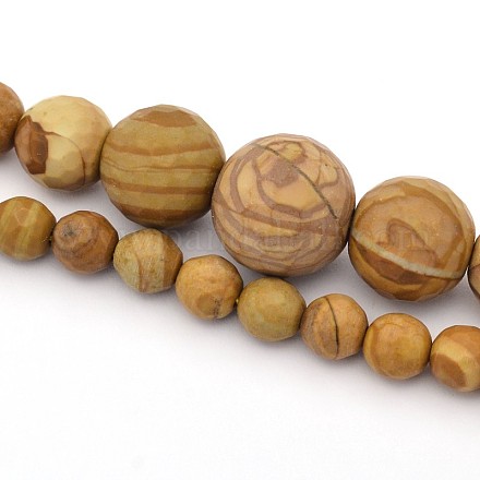 Facettiert rund natürliche versteinertes Holz graduierte Perlen Stränge G-E302-027-1
