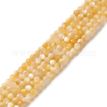 Brins de perles de coquillage jaune doré naturel SSHEL-G029-01C-1