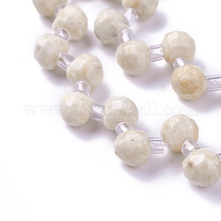 Natural Fossil Beads Strands G-I246-04-1