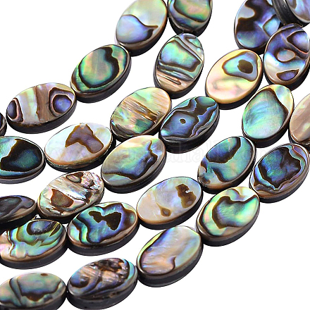 Perle di conchiglia abalone naturale / conchiglia paua SSHEL-BC0001-08-1
