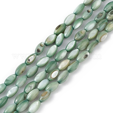 Fili di perline tinti in conchiglia naturale d'acqua dolce SHEL-M018-13-11-1