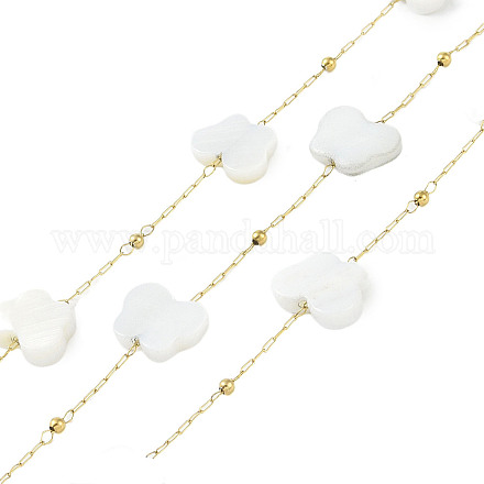 Бабочка ионное покрытие (ip) цепи из нержавеющей стали 304 AJEW-Q150-03G-02-1