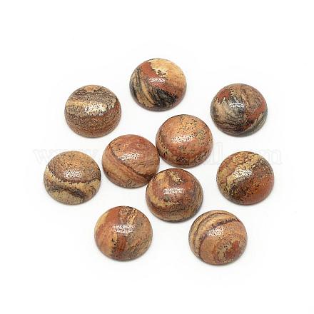 Natural Picture Jasper Cabochons G-R416-16mm-42-1