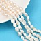 Natural Cultured Freshwater Pearl Beads Strands, Two Sides Polished, Grade 2A, Seashell Color, 7~8mm, Hole: 0.6mm, about 36~37pcs/strand, 13.54~13.82''(34.4~35.1cm)