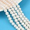 Natural Cultured Freshwater Pearl Beads Strands, Potato, Grade 4A+, Seashell Color, 7~8mm, Hole: 0.7mm, about 54~55pcs/strand, 14.09~14.37 inch(35.8~36.5cm)