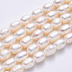 Natural Cultured Freshwater Pearl Beads Strands X-PEAR-F007-70-2
