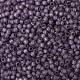 Toho perles de rocaille rondes SEED-JPTR08-PF2108-2
