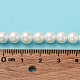 Cuentas perlas de concha de perla X-BSHE-L026-03-6mm-8