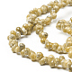 Natural Spiral Shell Beads Strands BSHE-I011-11A-3