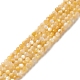 Fili di perline di conchiglia giallo dorato naturale SSHEL-G029-01C-1