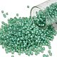 Круглые бусины toho 8/0 SEED-TR08-2119-1