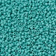 MIYUKI Delica Beads X-SEED-J020-DB0759-3