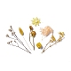 Flores secas DIY-D052-12-2