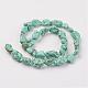 Natural Green Turquoise Beads Strands G-N0312-01-2