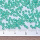 MIYUKI Round Rocailles Beads SEED-G007-RR0572-4