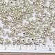 MIYUKI Round Rocailles Beads X-SEED-G007-RR0181-2