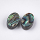 Abalone shell / paua shell beads SSHEL-T008-07-2