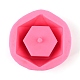 3D Hexagon Flower Pot Food Grade Silicone Mold DIY-K024-04-3
