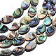 Perle di conchiglia abalone naturale / conchiglia paua SSHEL-BC0001-08-1