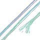 10かせ 6層ポリエステル刺繍フロス  クロスステッチの糸  セグメント染め  士官候補生ブルー  0.5mm  約8.75ヤード（8m）/かせ OCOR-K006-A30-3