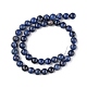 Natural Sodalite Beads Strands G-G0003-C01-C-3