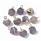 Natural Grey Agate Charms G-S359-015D-1