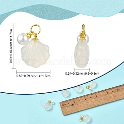 5 шт. подвески в форме ракушки из натурального агата&nbsp;G-YW0002-43