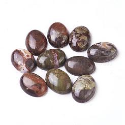 Natürliche mehrfarbige Achat Cabochons mit flachem Rücken&nbsp;G-G741-22x30mm-08
