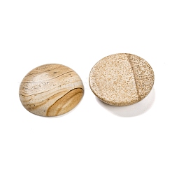 Natur Bildjaspisses cabochons&nbsp;G-B085-02A-07