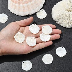 10 шт. подвески из резных натуральных пресноводных ракушек&nbsp;SHEL-YW0001-15