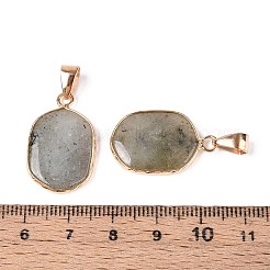 Природные подвески лабрадорита&nbsp;G-N349-04E-G
