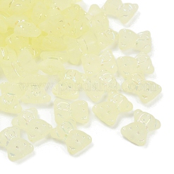 Gefrostet transparent Acrylperlen&nbsp;X1-OACR-P029-20B-03