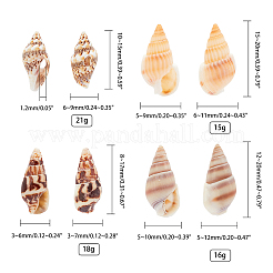 天然混合シェルビーズ  穴なし/ドリルなし  ミックスカラー  12~20x5~12x5~10mm  約320~350個/箱&nbsp;SSHEL-PH0002-53