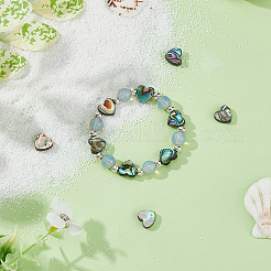 10 шт. бусины из натуральной ракушки абалон/ракушки пауа SSHEL-FI0001-05