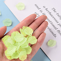 Прозрачные матовые акриловые подвески&nbsp;MACR-S371-01A-728