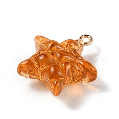 Прозрачные смоляные подвески&nbsp;LS-RESI-Z016-02B-LG