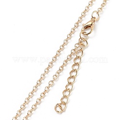 Résine alliage pendentifs&nbsp;NJEW-B0003-05LG