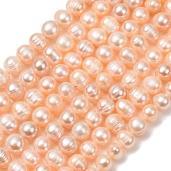 Fili di perle di perle d'acqua dolce coltivate naturali&nbsp;PA-CBABE82-16