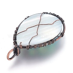 Раковины ушка / Paua Shellwire завернутые большие подвески&nbsp;SSHEL-L008-58R