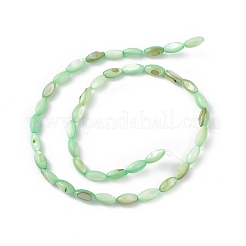 Натуральные пресноводные окрашенные бусы из ракушек SHEL-M018-13-03