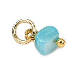 Подвески из натуральных окрашенных пресноводных ракушек&nbsp;PALLOY-JF04375-01