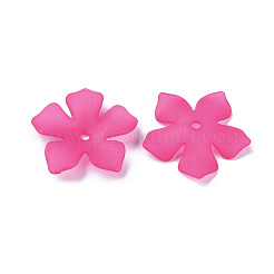 Прозрачные акриловые бусины&nbsp;MACR-S373-119-D17