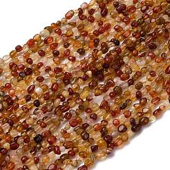 Натуральный красный агат бисер нитей&nbsp;LS-G-I389-A37-01B