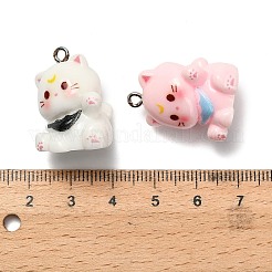 Подвески из непрозрачной смолы&nbsp;RESI-G116-03