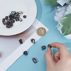 1 нить бусин из натуральной ракушки абалон/ракушки пауа SSHEL-ME0001-01