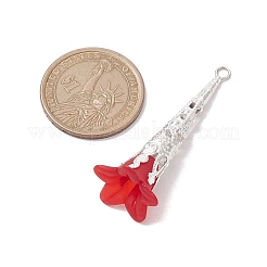 Акриловые подвески&nbsp;PALLOY-TA00127